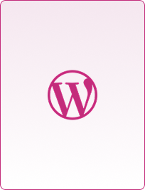 WordPress
