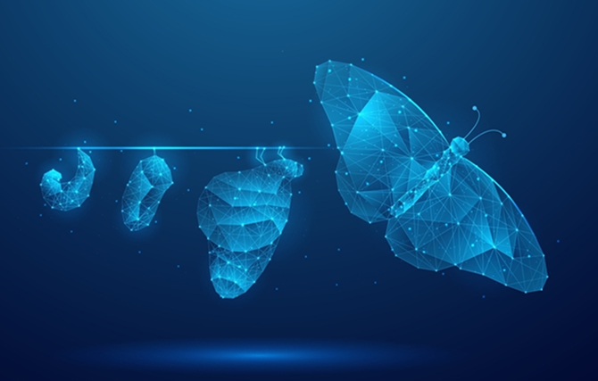 Transformation Image